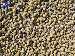 平模造粒機組合生產線顆粒